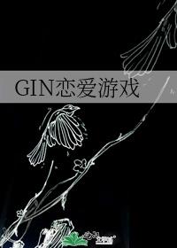 GINϷ