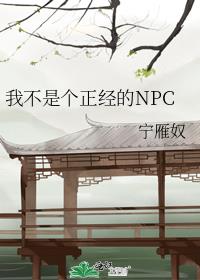 ҲǸNPC